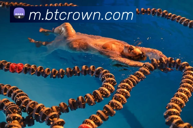 皇冠crown体育平台平台生态图