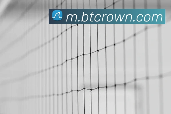 皇冠crown体育平台APP 封面图